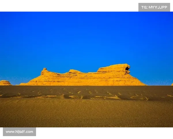 踏入神兽森林深处探寻尘封古老传奇与奇幻生灵秘境 踏入神兽森林深处探寻尘封古老传奇与奇幻生灵秘境