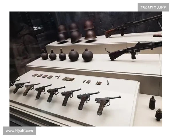 全面揭秘洛塞尔索技术特点与战术价值的多维深度专业全景系统解析