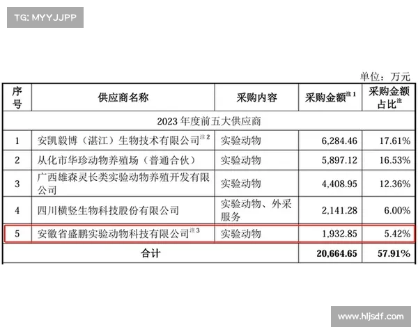 全面解析欧协杯决赛规则关键要点与赛制运行机制及比赛流程深度解读 全面解析欧协杯决赛规则关键要点与赛制运行机制及比赛流程深度解读