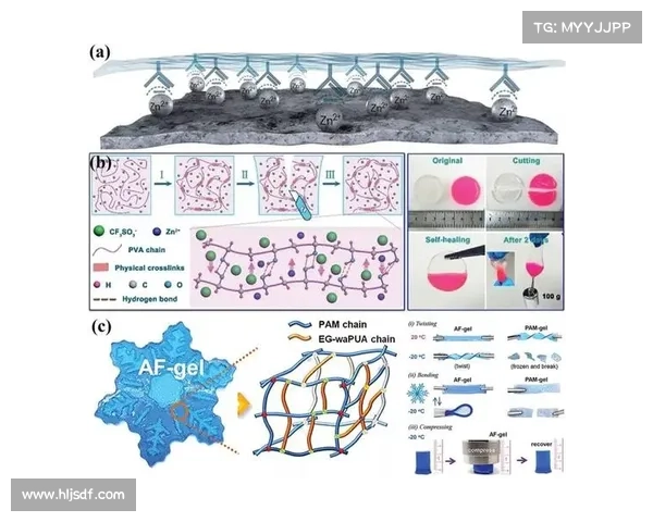 如何综合考量和评估丰塞卡帅位稳定性及未来发展潜力